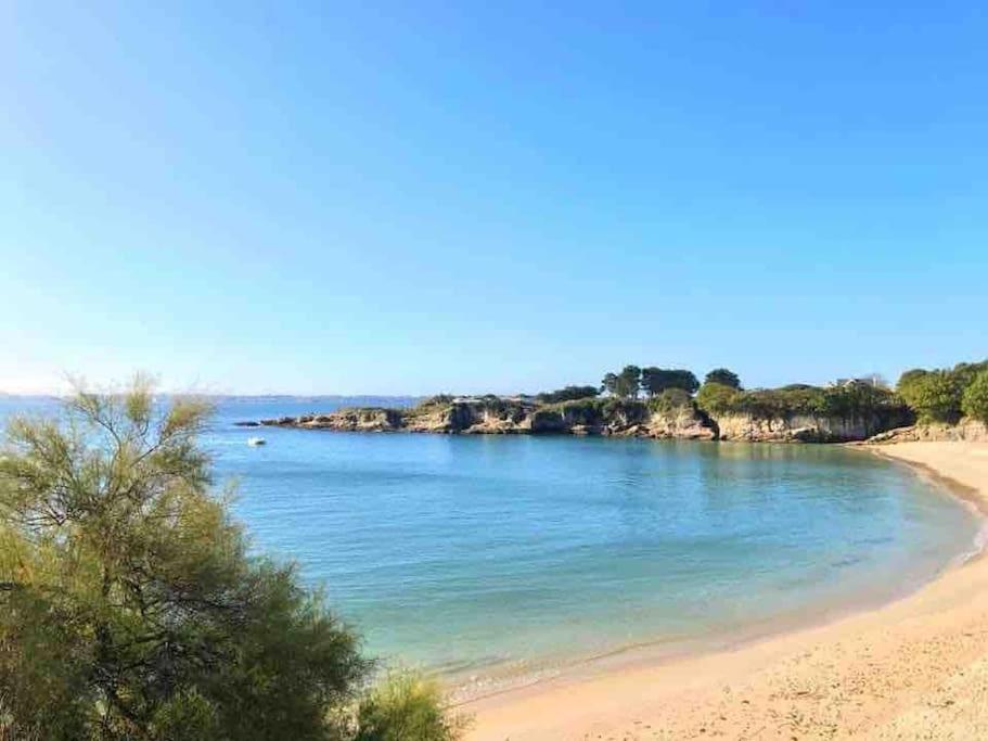 Le Calypso, Avec Terrasse A 50m De La ! Apartment *